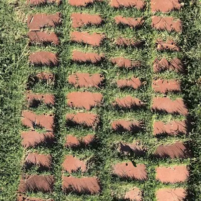 Brick pavers set into a grass path