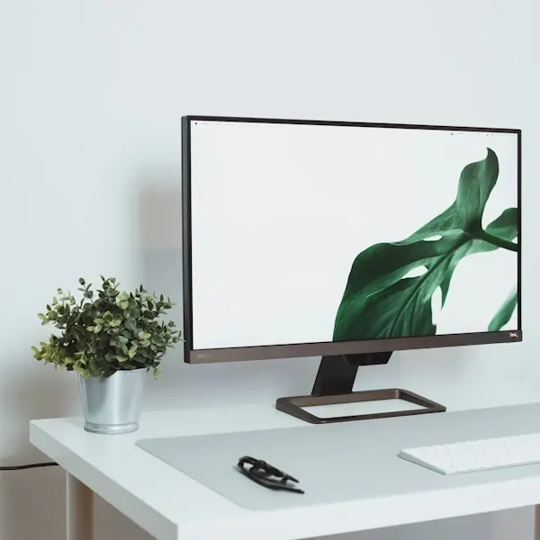 Minimal white desk with a monitor and plant