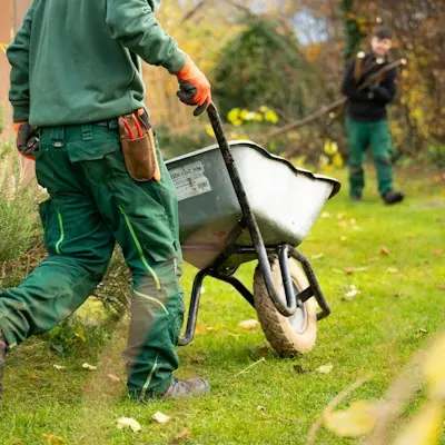 Landscaping crew pushing a wheelbarrow across a lawn
